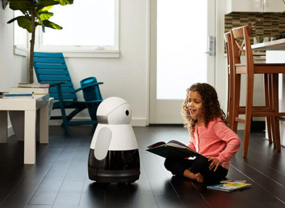 Smart Companion Robot